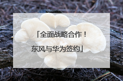 全面战略合作！东风与华为签约