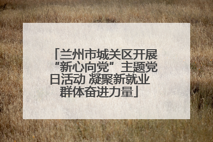 兰州市城关区开展“新心向党”主题党日活动 凝聚新就业群体奋进力量