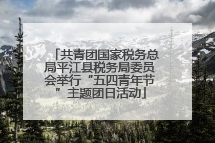共青团国家税务总局平江县税务局委员会举行“五四青年节”主题团日活动