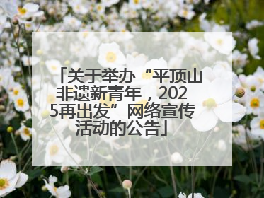关于举办“平顶山非遗新青年，2025再出发”网络宣传活动的公告