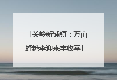 关岭新铺镇：万亩蜂糖李迎来丰收季