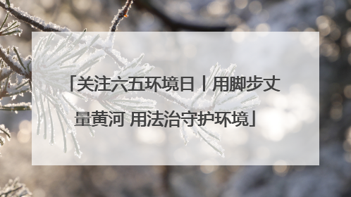 关注六五环境日丨用脚步丈量黄河 用法治守护环境