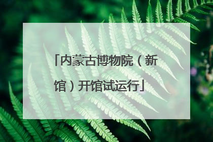 内蒙古博物院（新馆）开馆试运行