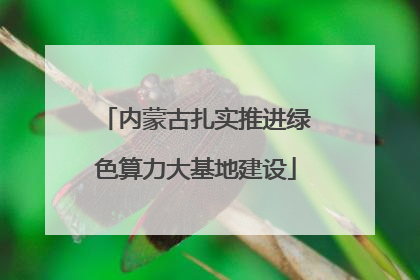 内蒙古扎实推进绿色算力大基地建设