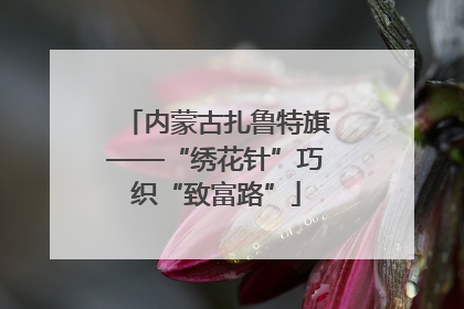 内蒙古扎鲁特旗——“绣花针”巧织“致富路”