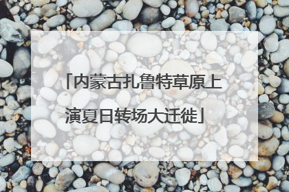 内蒙古扎鲁特草原上演夏日转场大迁徙