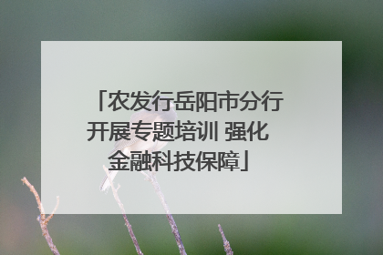 农发行岳阳市分行开展专题培训 强化金融科技保障