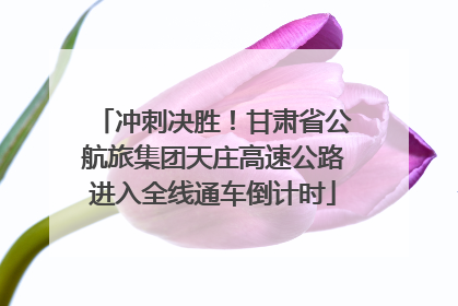 冲刺决胜！甘肃省公航旅集团天庄高速公路进入全线通车倒计时