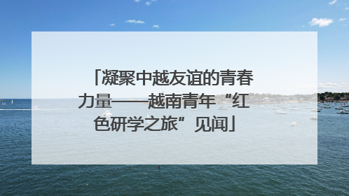 凝聚中越友谊的青春力量——越南青年“红色研学之旅”见闻
