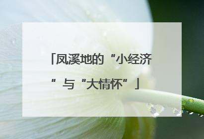 凤溪地的“小经济”与“大情怀”