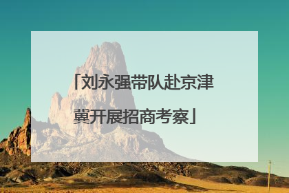 刘永强带队赴京津冀开展招商考察