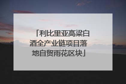 利比里亚高粱白酒全产业链项目落地自贸雨花区块