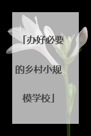 办好必要的乡村小规模学校