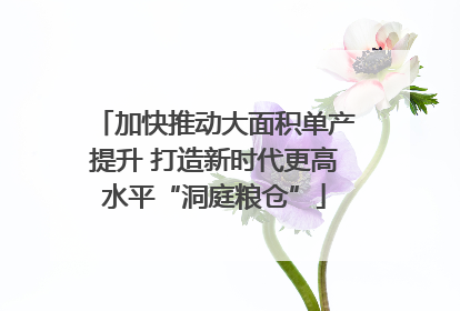 加快推动大面积单产提升 打造新时代更高水平“洞庭粮仓”