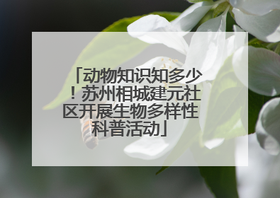 动物知识知多少！苏州相城建元社区开展生物多样性科普活动