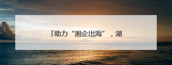 助力“湘企出海”，湖南省湘非经贸商会成立