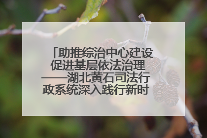 助推综治中心建设 促进基层依法治理——湖北黄石司法行政系统深入践行新时代枫桥经验