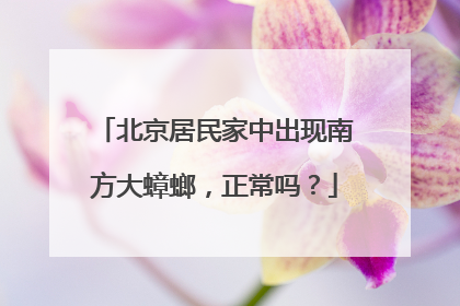 北京居民家中出现南方大蟑螂，正常吗？