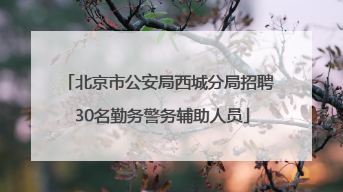 北京市公安局西城分局招聘30名勤务警务辅助人员