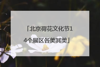 北京荷花文化节14个展区各美其美