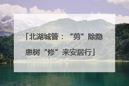 北湖城管：“剪”除隐患树“修”来安居行