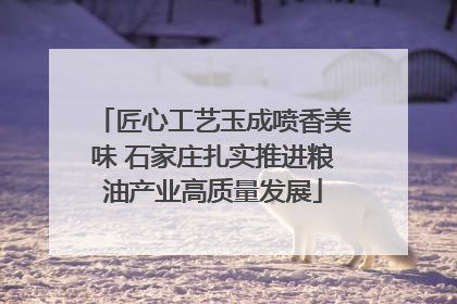 匠心工艺玉成喷香美味 石家庄扎实推进粮油产业高质量发展