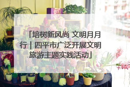 培树新风尚 文明月月行｜四平市广泛开展文明旅游主题实践活动