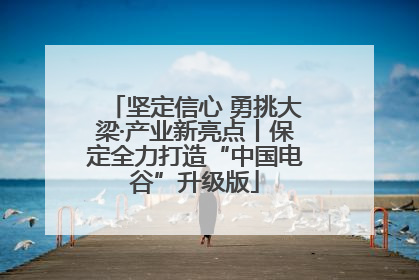 坚定信心 勇挑大梁·产业新亮点丨保定全力打造“中国电谷”升级版