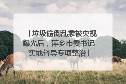 垃圾偷倒乱象被央视曝光后，萍乡市委书记实地督导专项整治