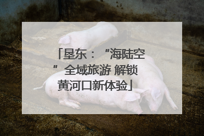 垦东：“海陆空”全域旅游 解锁黄河口新体验
