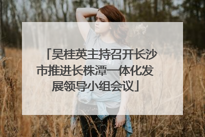 吴桂英主持召开长沙市推进长株潭一体化发展领导小组会议