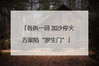 各执一词 加沙停火方案陷“罗生门”