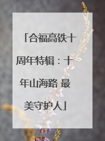 合福高铁十周年特辑：十年山海路 最美守护人