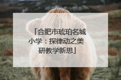 合肥市琥珀名城小学：探律动之美 研教学新思