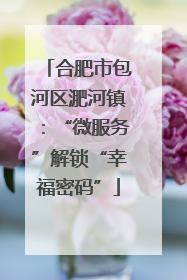 合肥市包河区淝河镇：“微服务”解锁“幸福密码”
