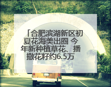 合肥滨湖新区初夏花海美出圈 今年新种植草花、播撒花籽约6.5万平方米