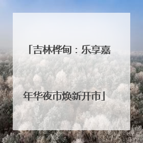 吉林桦甸：乐享嘉年华夜市焕新开市