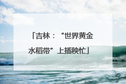 吉林：“世界黄金水稻带”上插秧忙