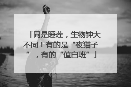 同是睡莲，生物钟大不同！有的是“夜猫子”，有的“值白班”