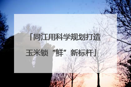 同江用科学规划打造玉米锁“鲜”新标杆