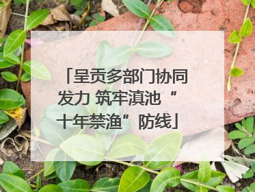 呈贡多部门协同发力 筑牢滇池“十年禁渔”防线