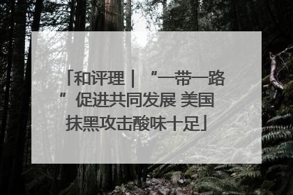 和评理｜“一带一路”促进共同发展 美国抹黑攻击酸味十足