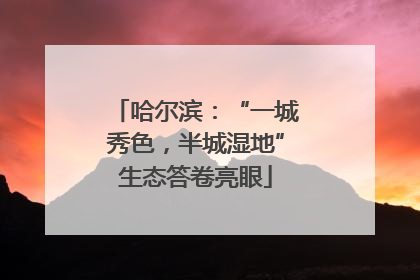 哈尔滨：“一城秀色，半城湿地”生态答卷亮眼