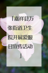 嘉祥县万张街道卫生院开展爱眼日宣传活动