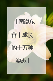 图说东营丨成长的十万种姿态