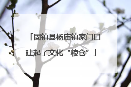 固镇县杨庙镇家门口建起了文化“粮仓”