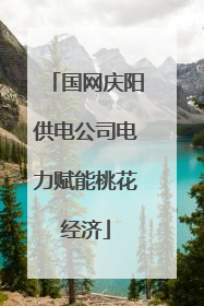 国网庆阳供电公司电力赋能桃花经济