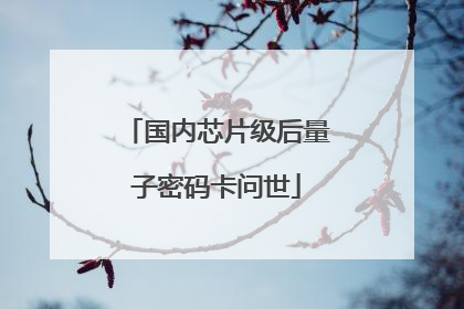 国内芯片级后量子密码卡问世