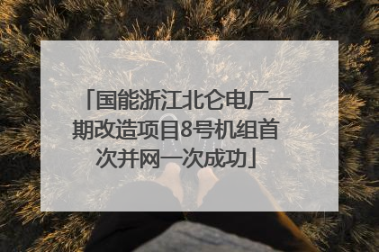 国能浙江北仑电厂一期改造项目8号机组首次并网一次成功