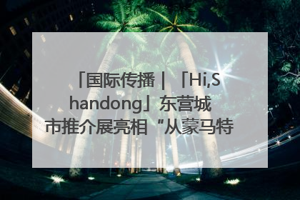 国际传播｜「Hi,Shandong」东营城市推介展亮相“从蒙马特到加里波第”文化节